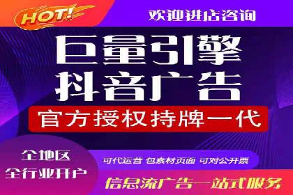 SEM竞价代运营：案例展示数据分析与应用
